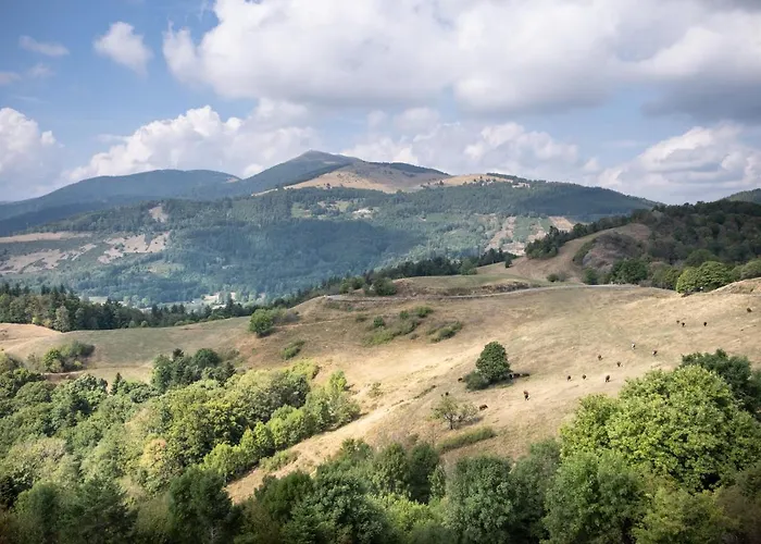 Huttopia Foret Des Vosges База отдыха *